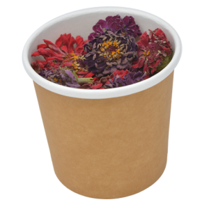 Fiori Eduli Essiccati - ZINNIA FIORE INTERO